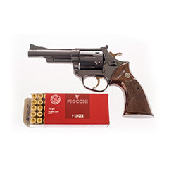 gun1