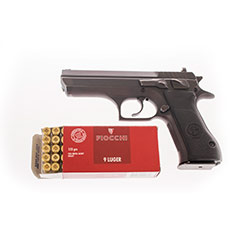gun1
