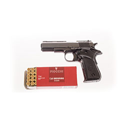 gun1