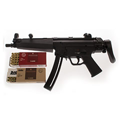 gun1