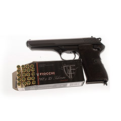 gun1