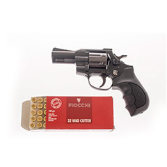 gun1