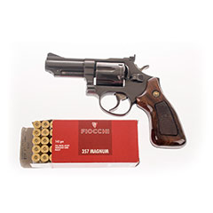 gun1
