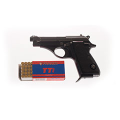 gun1