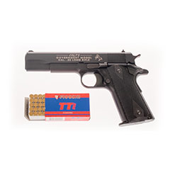 gun1