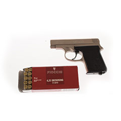 gun1